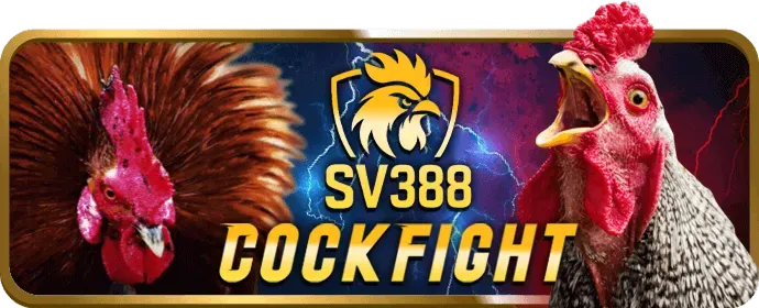 Sân quần vợt với vợt và bóng